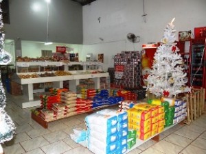 super_san_exp (2)